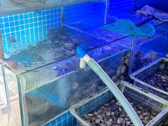-阿军排档·烧烤