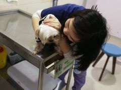 -哆趣宠物医院·眼科·内镜·急重症转诊中心(上海店)