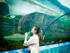 -悉尼海洋生物水族馆