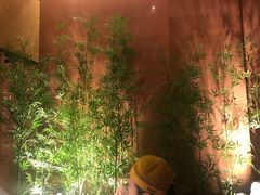 -初蓉丨遇见新川菜(亲贤街荣耀店)