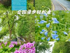 -月湖风景区