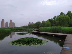-前关湿地公园