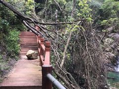 -祁门牯牛降观音堂风景区