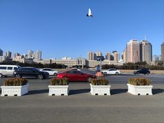 -大连人民广场