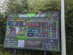 -黄海国家森林公园