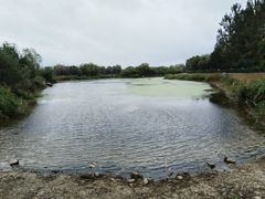 -淇河国家湿地公园