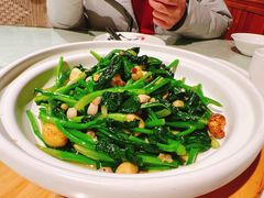 炒芥兰苗-朝郡酒家·粤菜(燕大星苑店)