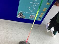 -睿金宠物医院·CT·肿瘤·骨外科