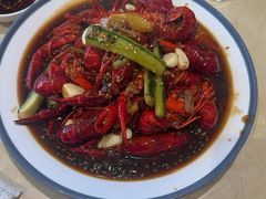 -杨氏青龙虾·羊蝎子(珠江路店)
