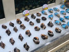 -新洪记·丽久饭店(铁西店)