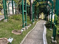 -石排湾郊野公园