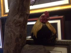 -疯狂屋