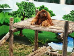 -西霞口神雕山野生动物世界