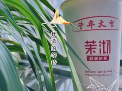 -茉沏(西园路店)