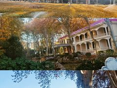 -河南省黄河迎宾馆