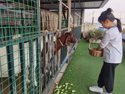 点击看大图 -小蜜蜂农场(凯德七宝购物广场店)