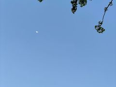 -武昌江滩