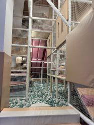 点击看大图 -超级奈尔宝SUPER NEOBIO(杭州星光店)