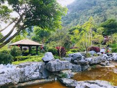 -英德宝晶宫天鹅湖茶语温泉