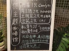 -有猫主题·治愈系猫咖(曾厝垵店)