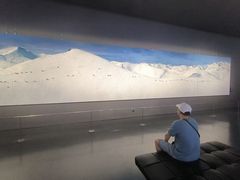 -罗红摄影艺术馆