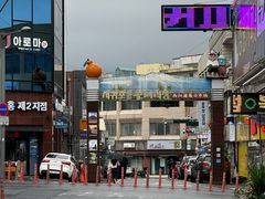 -西归浦每天偶来市场