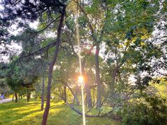 -元大都城垣遗址公园