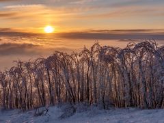 -中旅松花湖滑雪场
