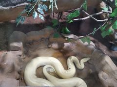 -灵玲国际马戏城