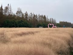 -嘉北郊野公园