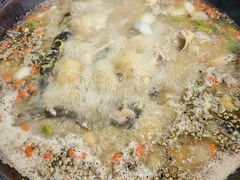 -鲜椒鱼·雅安地标性美食