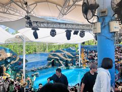 -上海野生动物园老虎餐厅