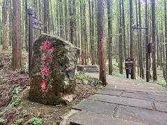 -山王坪喀斯特国家生态公园