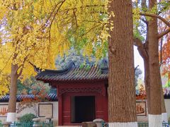 -郑和公园