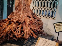 -三苏祠