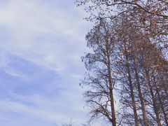 -东湖生态旅游风景区
