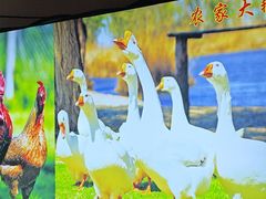 -黑土人家(江桥万达广场店)