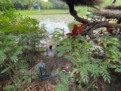 -广州长隆飞鸟乐园