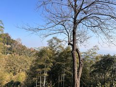 -莫干山风景区