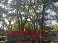 -大槐树寻根祭祖园