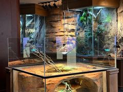 -帕帕拉兹宠物(亚洲旗舰店)