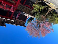 -天龙八部武侠城