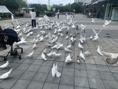 -银泰百货(海宁店)