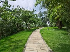 -广州七星岗古海岸遗址科学公园