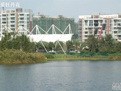 -新江湾城公园