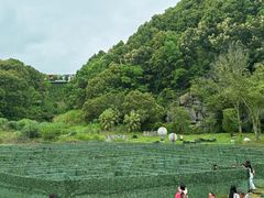 -梅州雁山湖国际花园度假区