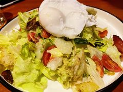 捷克农家沙拉-布拉格餐厅· 中欧捷克菜(全国首店)