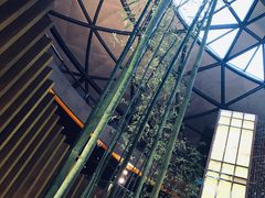 -上海滴水湖皇冠假日酒店