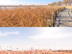 -野鸭湖国家湿地公园