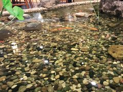 -丰圆轩粤式茶楼 . 点心粤菜(夏茅店)